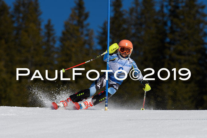 SVM U14/U16 Slalom 17.02.2019