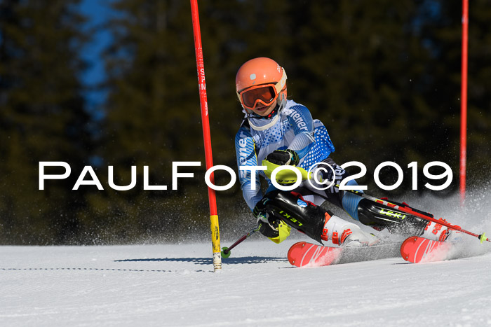 SVM U14/U16 Slalom 17.02.2019