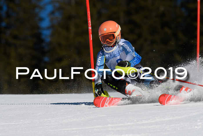 SVM U14/U16 Slalom 17.02.2019