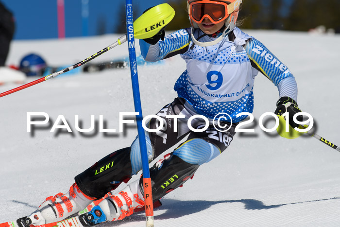 SVM U14/U16 Slalom 17.02.2019