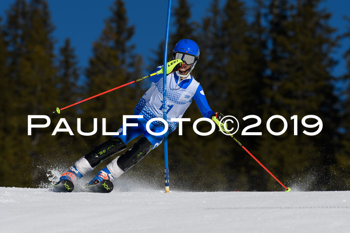 SVM U14/U16 Slalom 17.02.2019