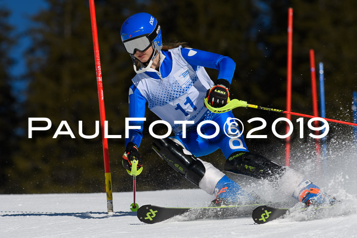 SVM U14/U16 Slalom 17.02.2019
