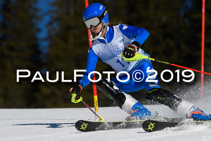 SVM U14/U16 Slalom 17.02.2019