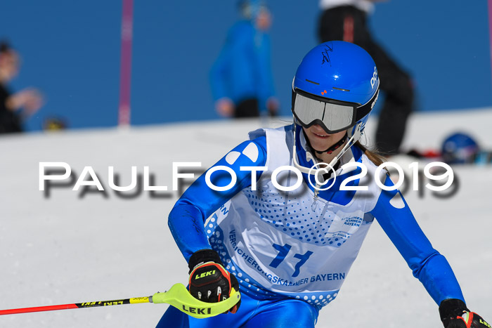 SVM U14/U16 Slalom 17.02.2019
