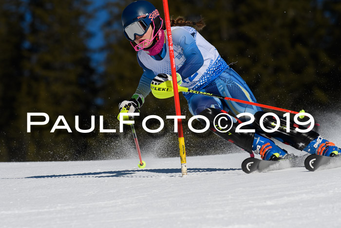 SVM U14/U16 Slalom 17.02.2019