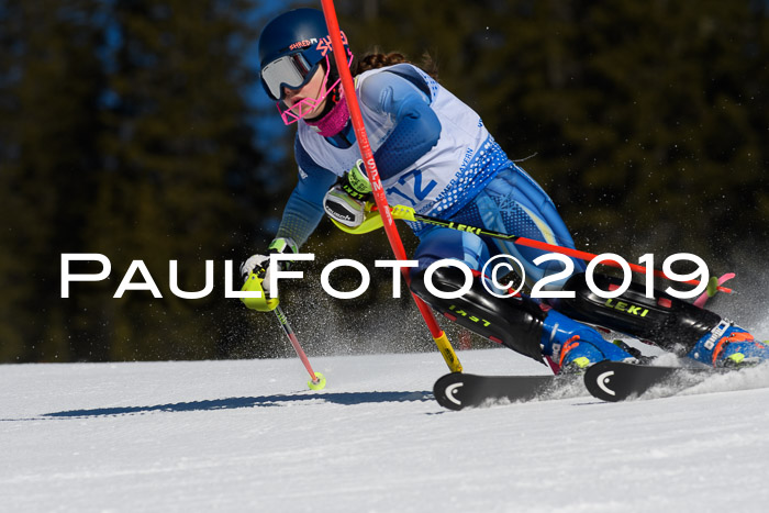 SVM U14/U16 Slalom 17.02.2019