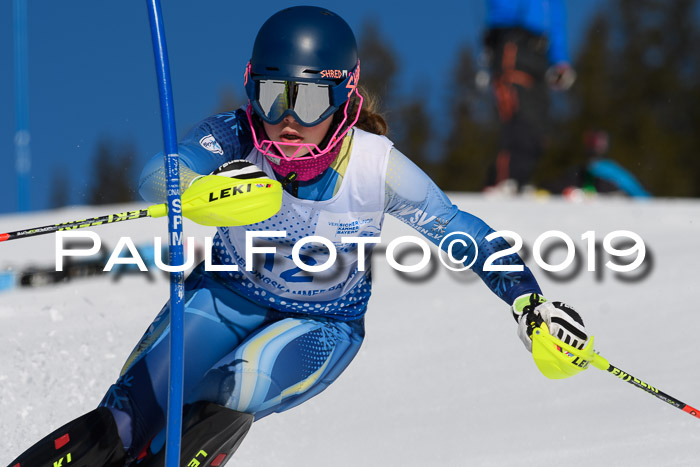 SVM U14/U16 Slalom 17.02.2019