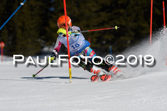 SVM U14/U16 Slalom 17.02.2019