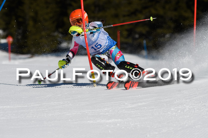SVM U14/U16 Slalom 17.02.2019