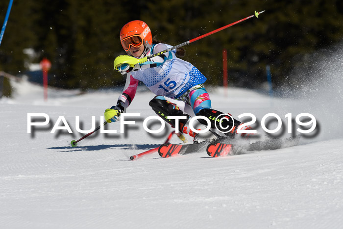 SVM U14/U16 Slalom 17.02.2019