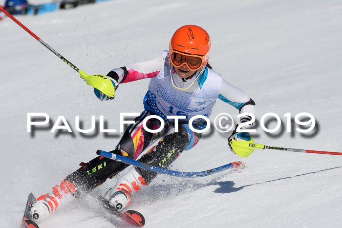 SVM U14/U16 Slalom 17.02.2019