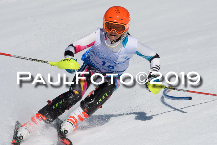 SVM U14/U16 Slalom 17.02.2019