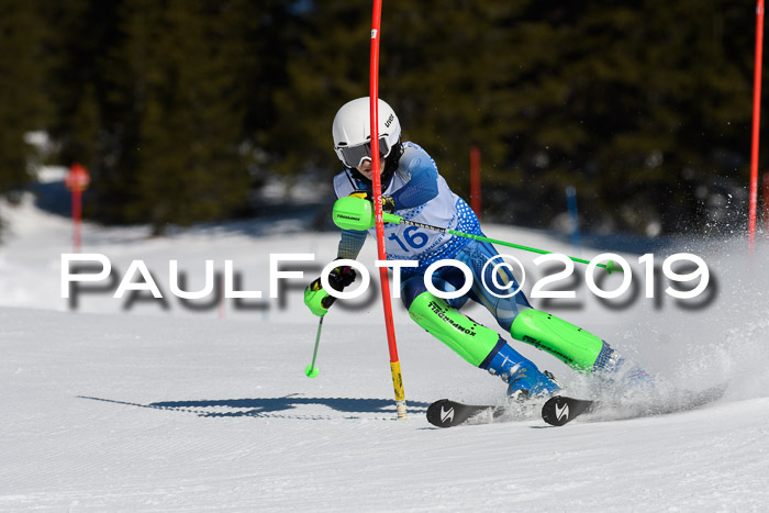 SVM U14/U16 Slalom 17.02.2019