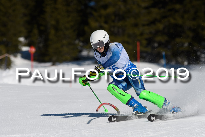 SVM U14/U16 Slalom 17.02.2019