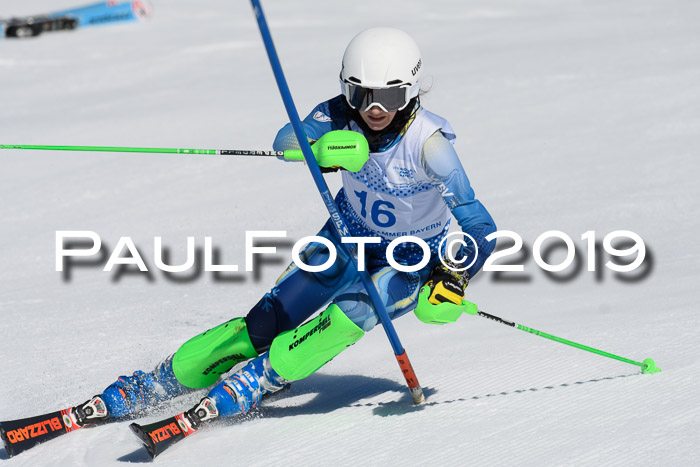SVM U14/U16 Slalom 17.02.2019