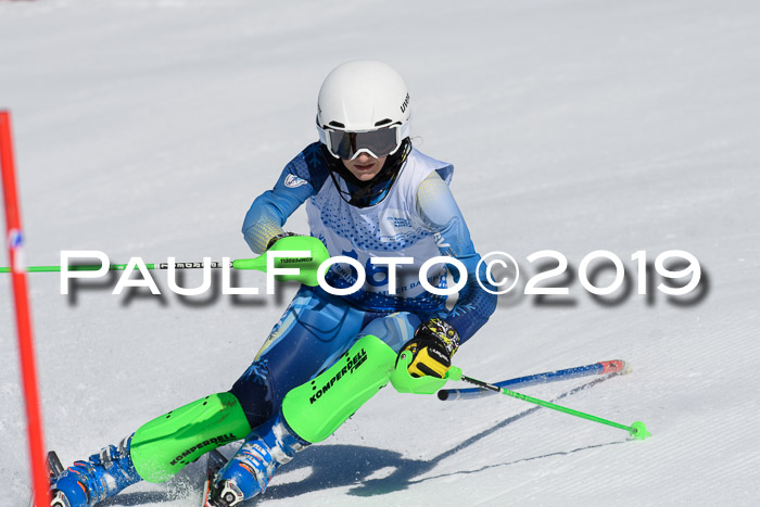 SVM U14/U16 Slalom 17.02.2019