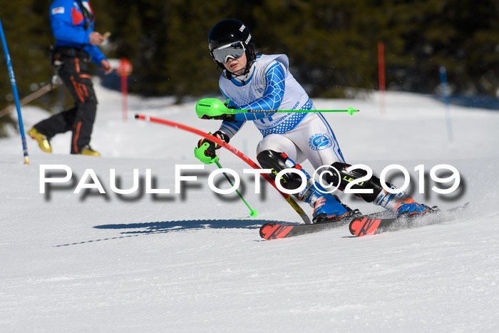 SVM U14/U16 Slalom 17.02.2019