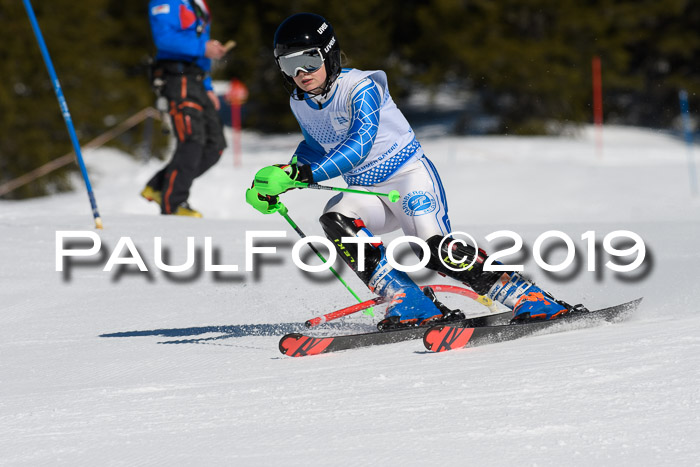 SVM U14/U16 Slalom 17.02.2019