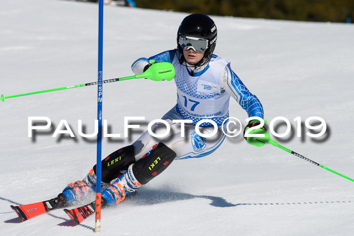 SVM U14/U16 Slalom 17.02.2019