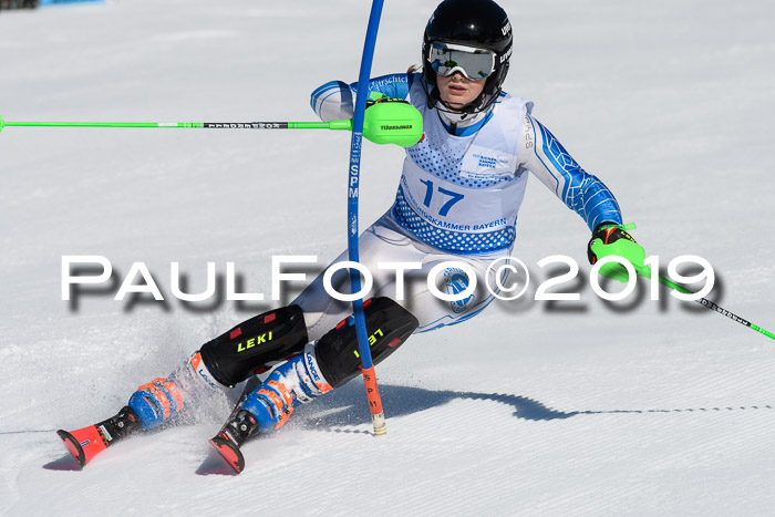 SVM U14/U16 Slalom 17.02.2019