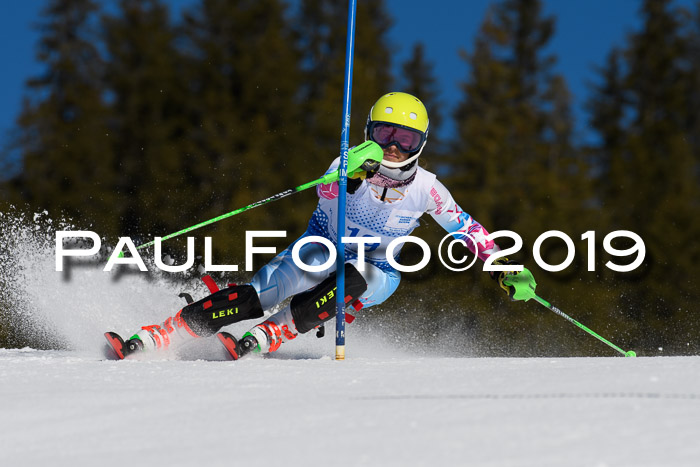 SVM U14/U16 Slalom 17.02.2019