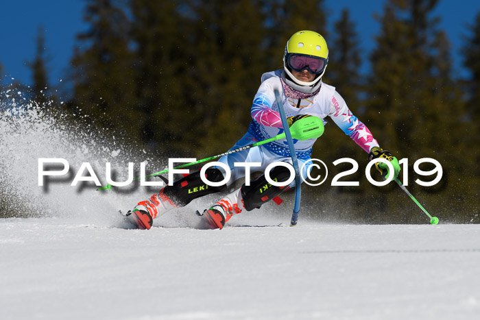 SVM U14/U16 Slalom 17.02.2019
