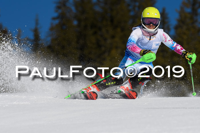 SVM U14/U16 Slalom 17.02.2019