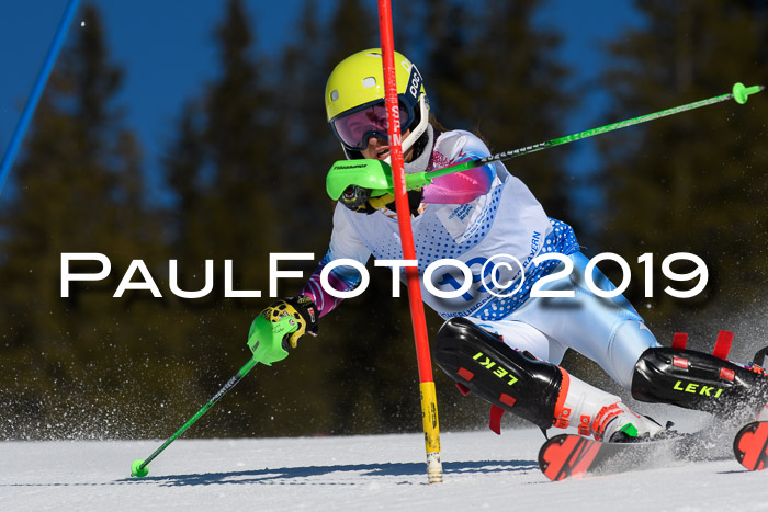 SVM U14/U16 Slalom 17.02.2019