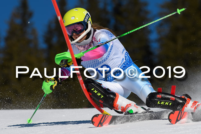 SVM U14/U16 Slalom 17.02.2019