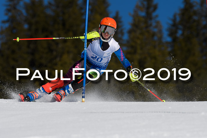 SVM U14/U16 Slalom 17.02.2019