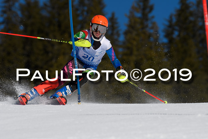 SVM U14/U16 Slalom 17.02.2019