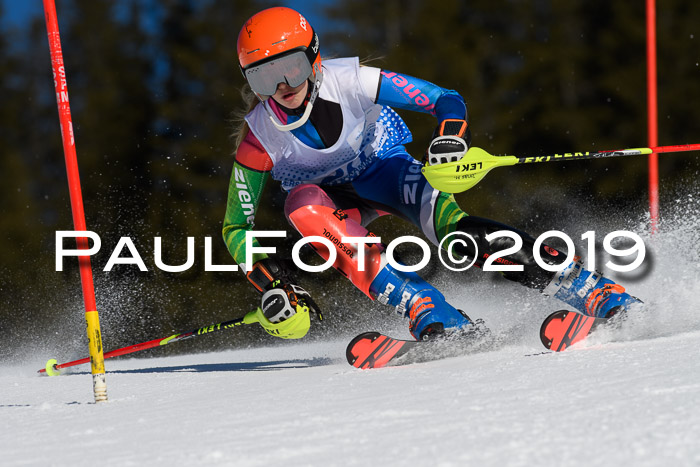 SVM U14/U16 Slalom 17.02.2019