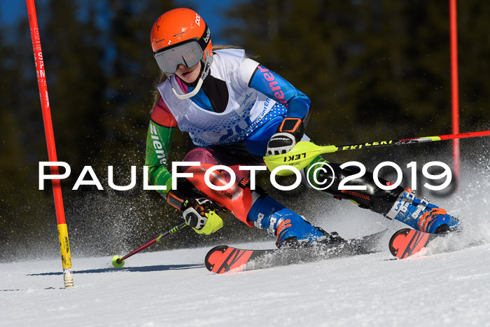 SVM U14/U16 Slalom 17.02.2019