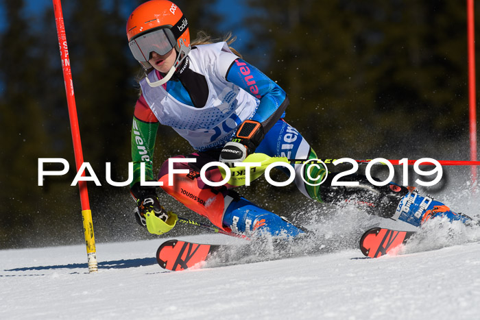 SVM U14/U16 Slalom 17.02.2019