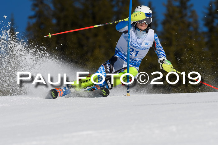 SVM U14/U16 Slalom 17.02.2019