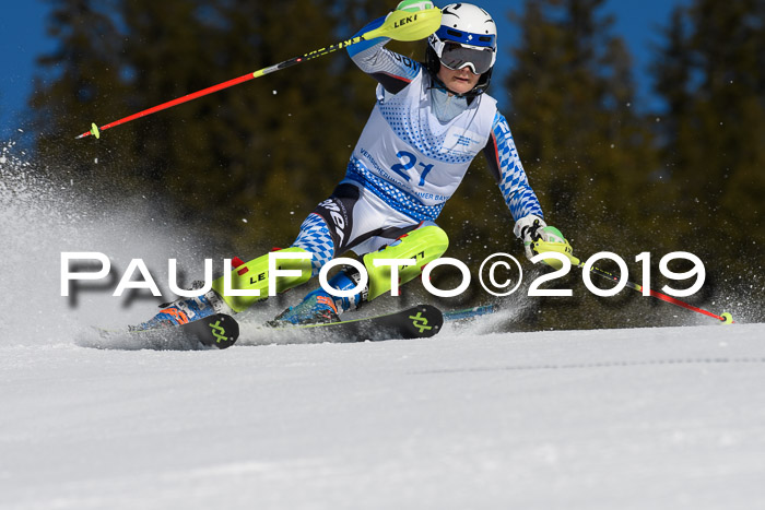 SVM U14/U16 Slalom 17.02.2019