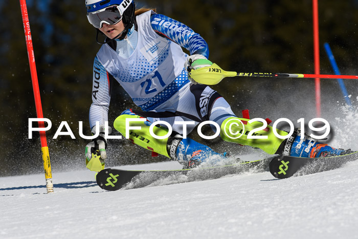 SVM U14/U16 Slalom 17.02.2019