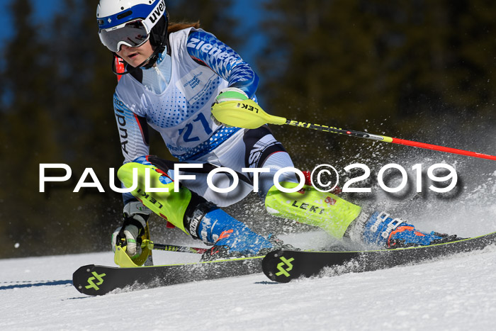 SVM U14/U16 Slalom 17.02.2019