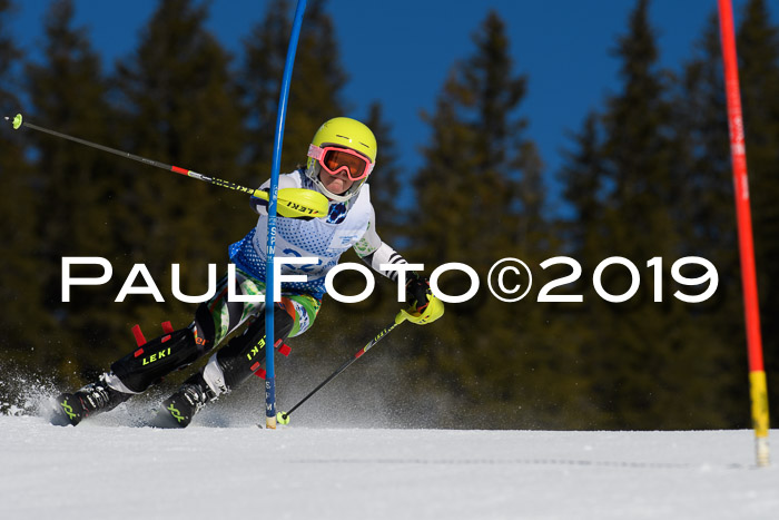 SVM U14/U16 Slalom 17.02.2019