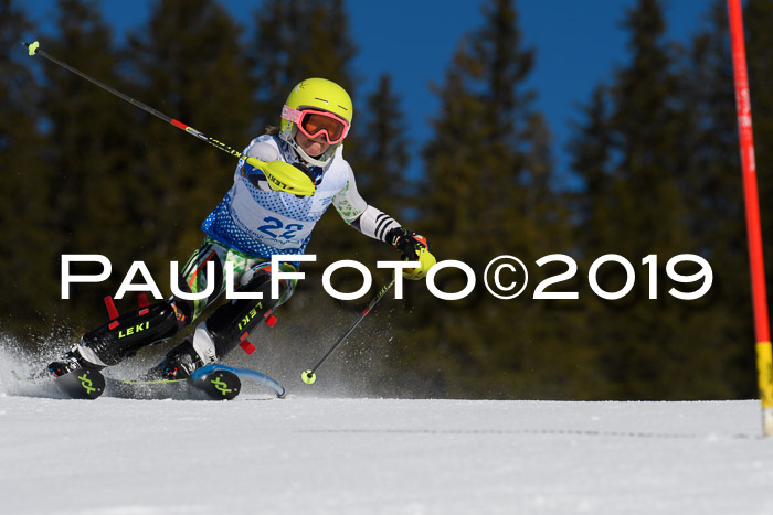 SVM U14/U16 Slalom 17.02.2019
