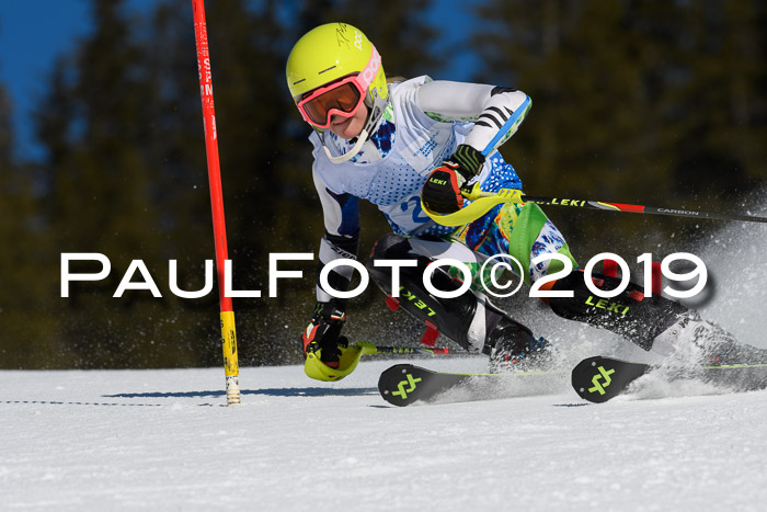 SVM U14/U16 Slalom 17.02.2019