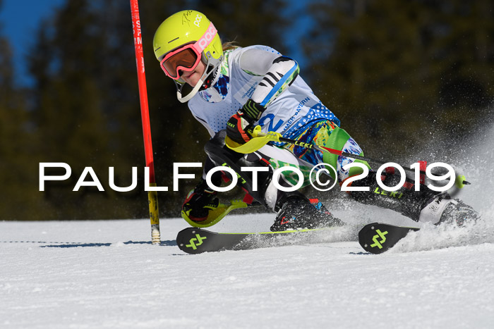 SVM U14/U16 Slalom 17.02.2019