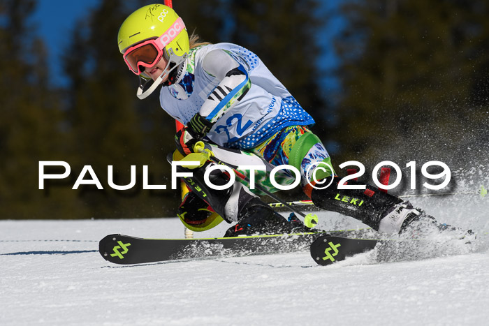 SVM U14/U16 Slalom 17.02.2019