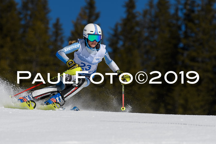 SVM U14/U16 Slalom 17.02.2019