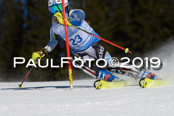SVM U14/U16 Slalom 17.02.2019