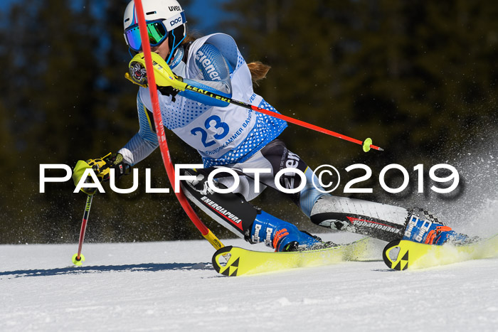 SVM U14/U16 Slalom 17.02.2019