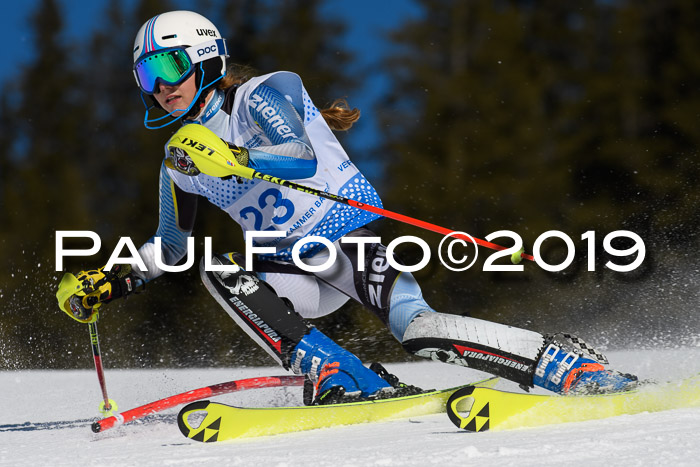 SVM U14/U16 Slalom 17.02.2019