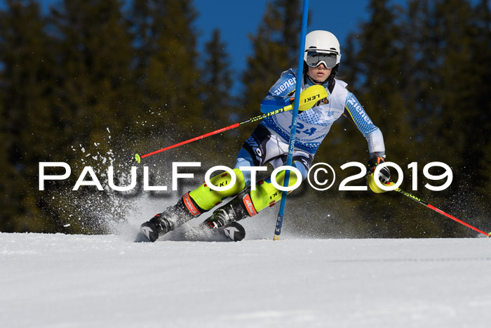 SVM U14/U16 Slalom 17.02.2019