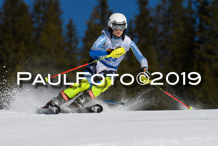 SVM U14/U16 Slalom 17.02.2019