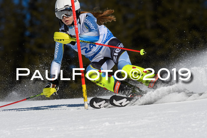 SVM U14/U16 Slalom 17.02.2019